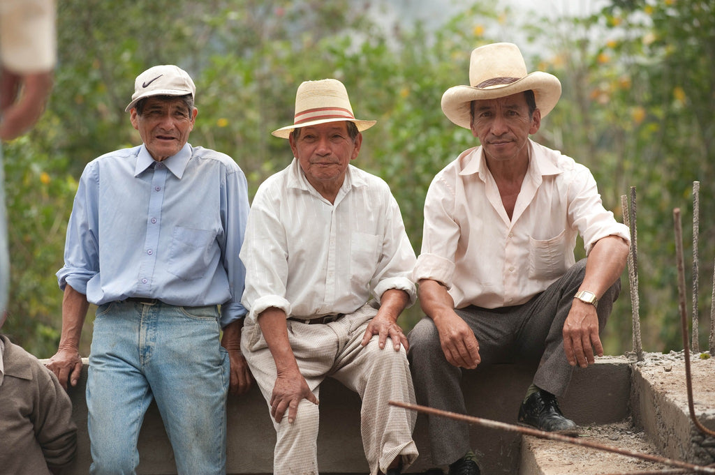 Small famers Ecuadorian organic specialty coffee — washed process, Bourbon and Typica varietals.